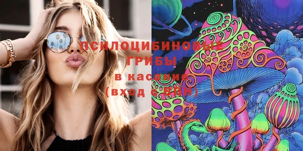 амф Богданович