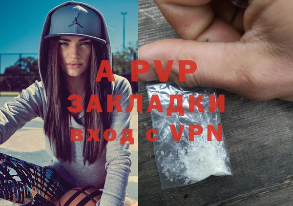 амф Богданович